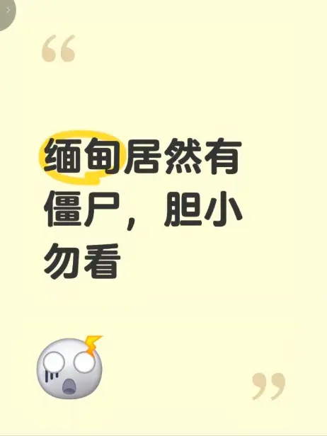 高清无删减《缅甸僵尸出土事件》在线免费播放-缅甸僵尸出土事件视频揭秘真相-完整版全集免费观看