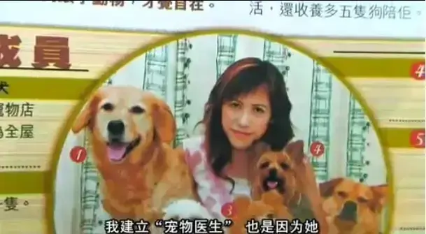 《女人与狗》未删减完整版免费观看-欧美电影《女人与狗》HD高清1080P在线播放-无缓冲夸克网盘资源下载流畅体验