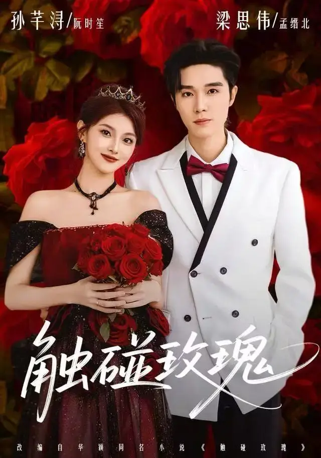 《触碰玫瑰》全季高清HD资源免费播放-1080P超清无广告在线观看-《触碰玫瑰》百度云/夸克网盘多平台下载