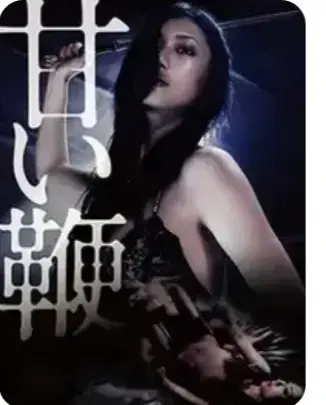 《甜蜜皮鞭》未删减完整版全集-高清1080P超清在线观看-免费观看甜蜜皮鞭无广告中文版