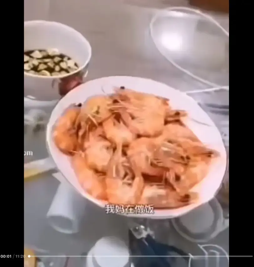 《大虾母子厨房完整版》高清视频资源-免费在线观看-猎奇视频梗的神秘面纱全解析