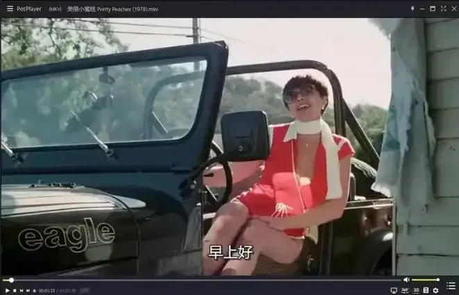 《美丽小蜜桃》未删减完整版免费观看-美国复古喜剧电影高清中字在线播放-《美丽小蜜桃》1080P高清画质
