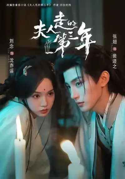 《夫人走的第三年》全剧集无广告免费看-《夫人走的第三年》高清未删减版完整资源-支持手机在线播放与网盘下载