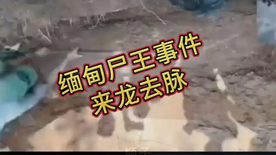 《缅甸僵尸出土事件视频》在线观看完整版 - 诡异真相解密高清资源下载免费播放